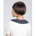 Wigs2you 全假髮 日本正品 高溫絲 Bobo頭短款 齊劉海直髮 氣質OL型W-577